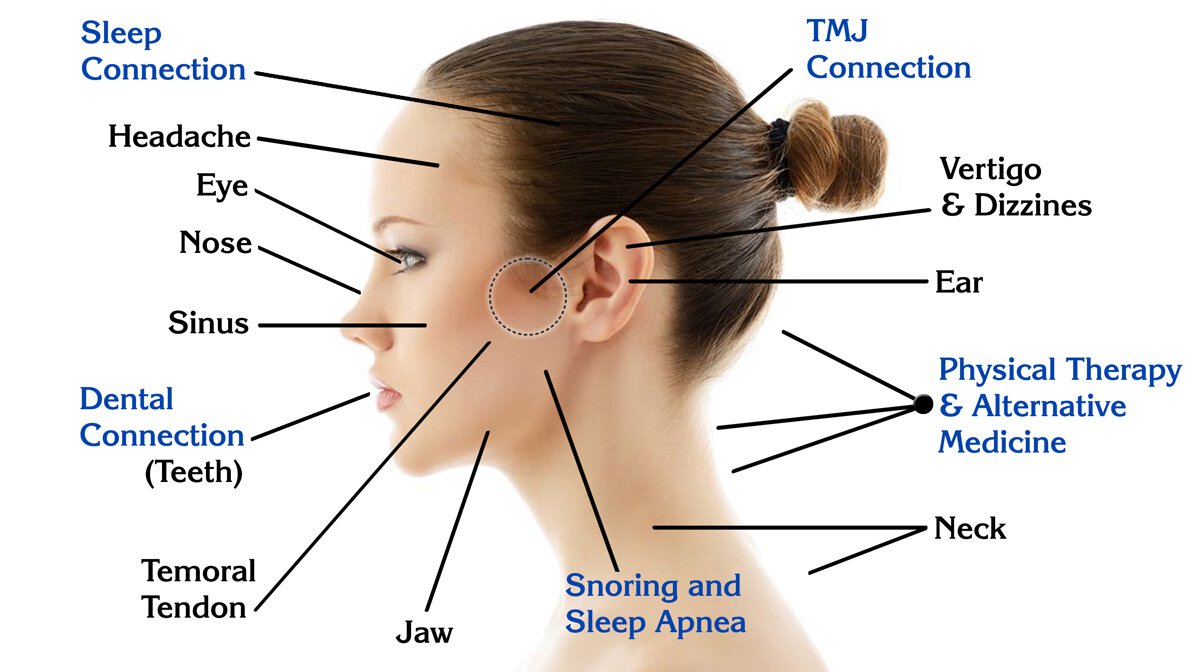 tinnitus infographic of facial features